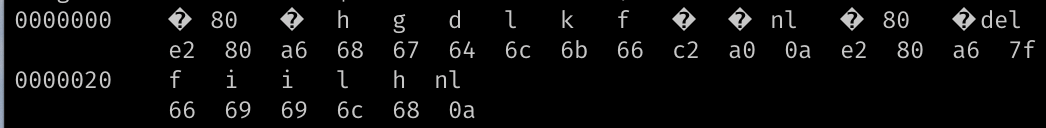 Binary Characters in the Filenames