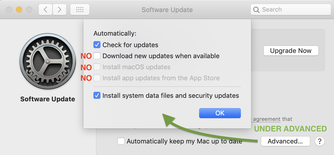 Apple / System Preferences / Software Update, Advanced